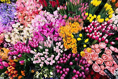 回合制策略游戏《Barrage》Steam页面上线 明天发售