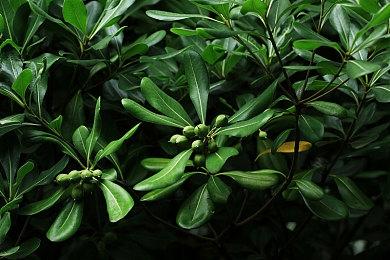 《第一后裔》更新档将于下周发布 加入全新组队寻找系统