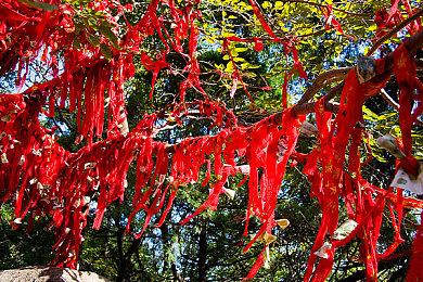 《星刃》试玩版存在输入延迟 玩家探索临时解决方案