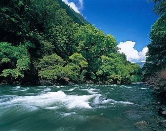 《艾尔登法环》开场动画泄露 时长3分零13秒